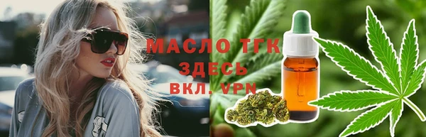 крисы Богородицк