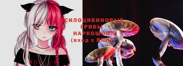 мескалин Богородск