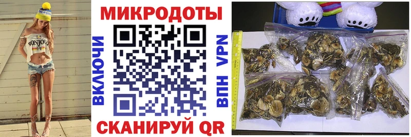 Псилоцибиновые грибы мицелий  Купить  Семёнов 